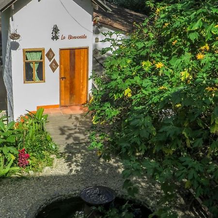 Finca Los Abuelos - La Planta Concepcion Esterno foto