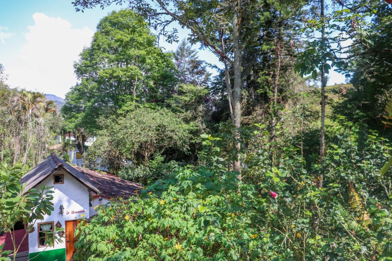 Finca Los Abuelos - La Planta Concepcion Esterno foto
