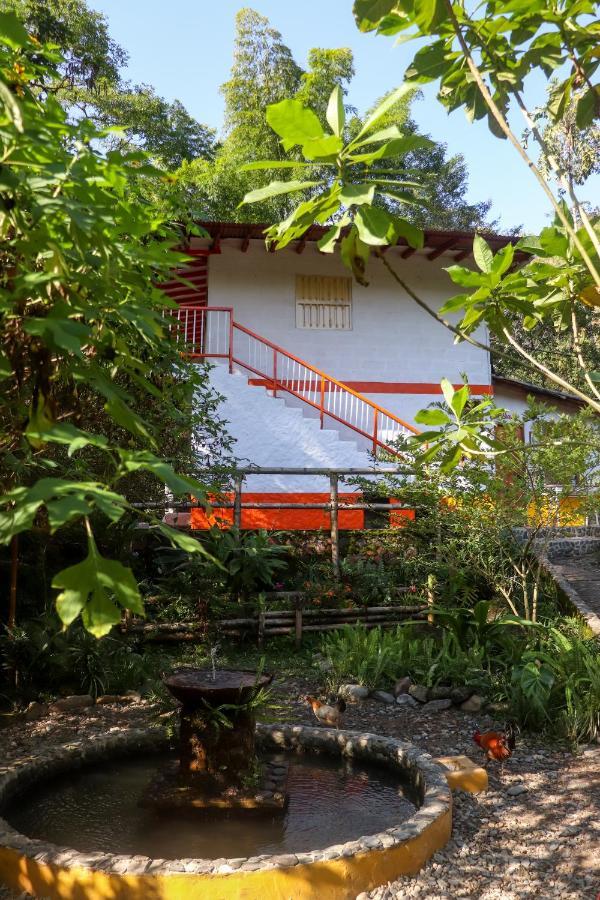 Finca Los Abuelos - La Planta Concepcion Esterno foto