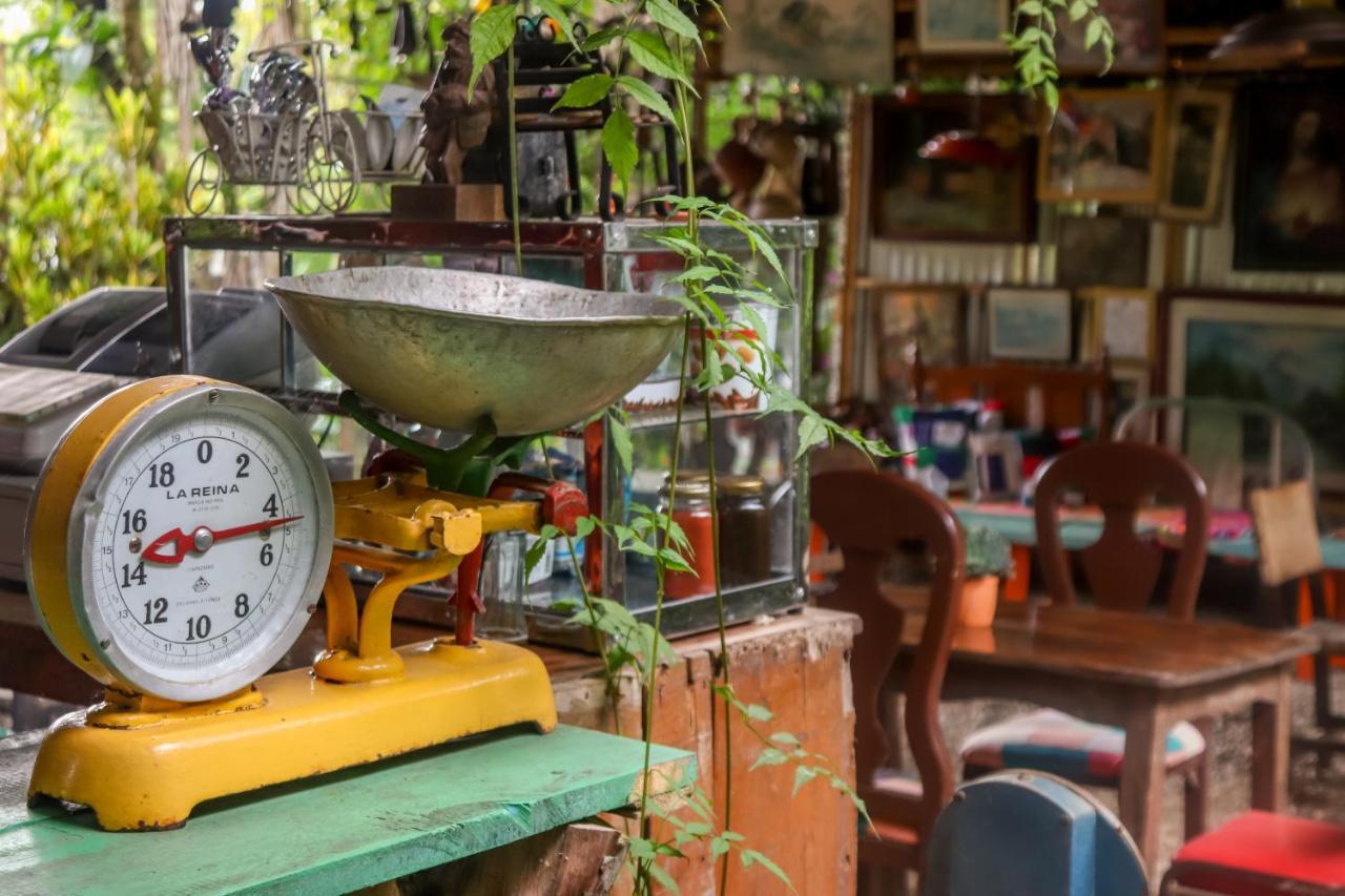 Finca Los Abuelos - La Planta Concepcion Esterno foto